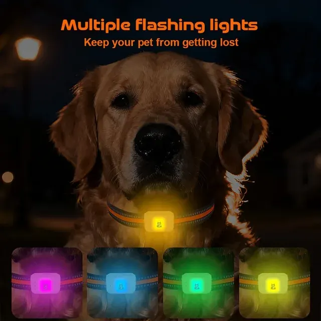 Pet GPS Tracker 2