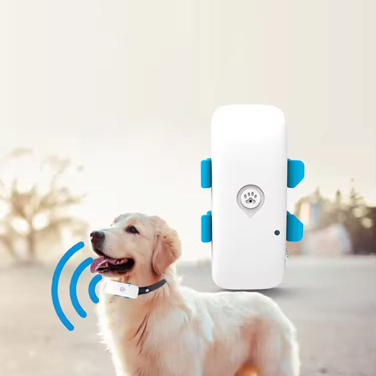 Wasserdichter 4G-GPS-Tracker für Katzen 4