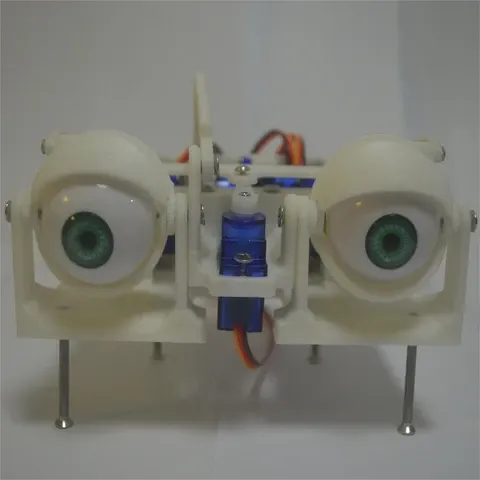 PS2 Control Robot Eyes SG90 3D Robotic Eye