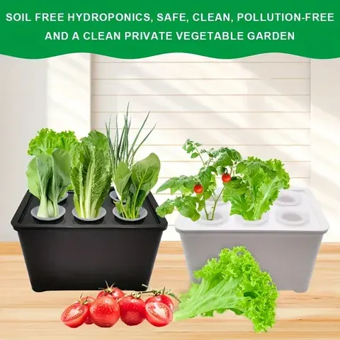 Hydroponic Seed Starter Box