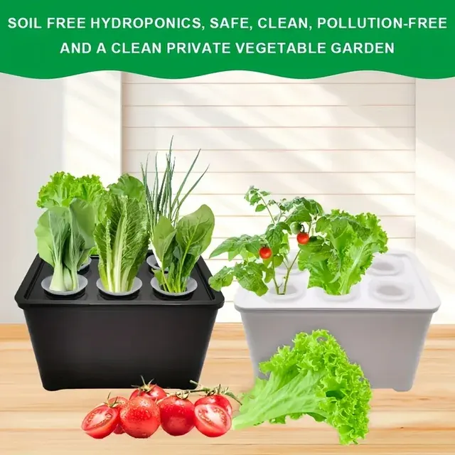 Hydroponic Propagation Box 3