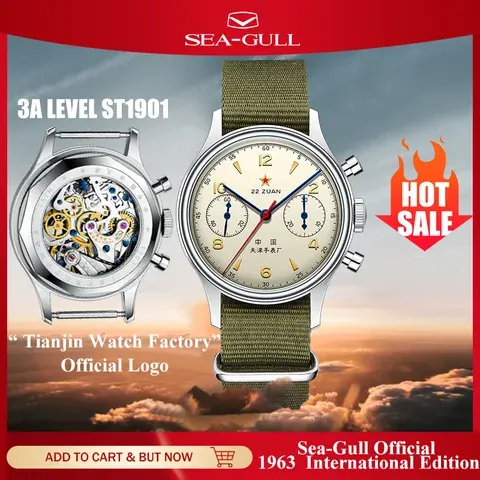 Mechanical Pilot Watch