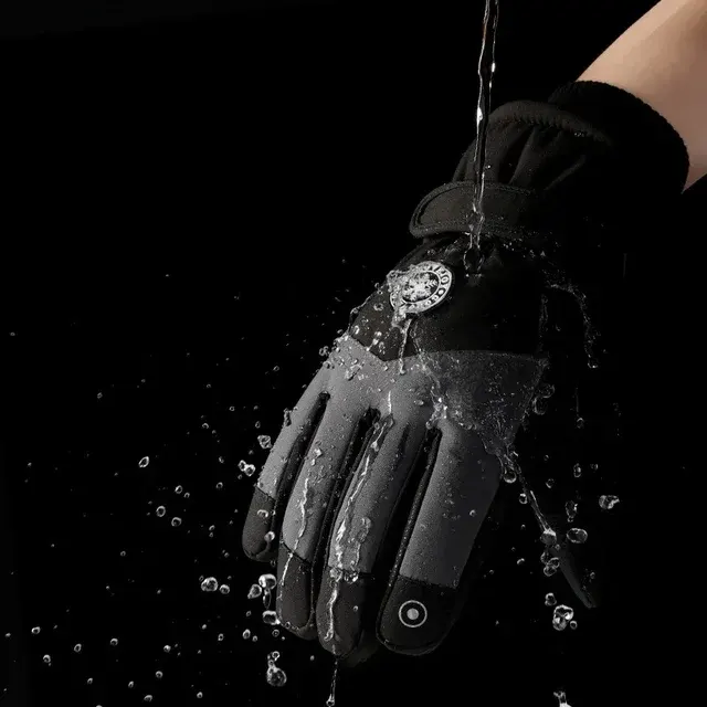 Ski Gloves 3