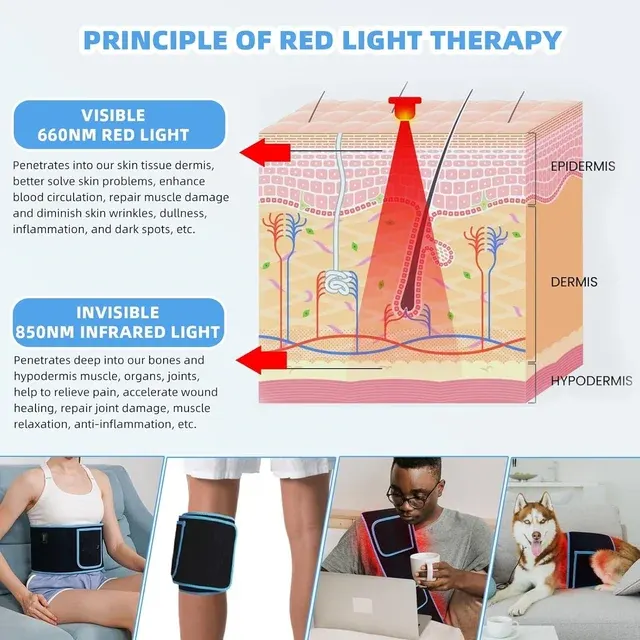 Red Light Waist Belt 3