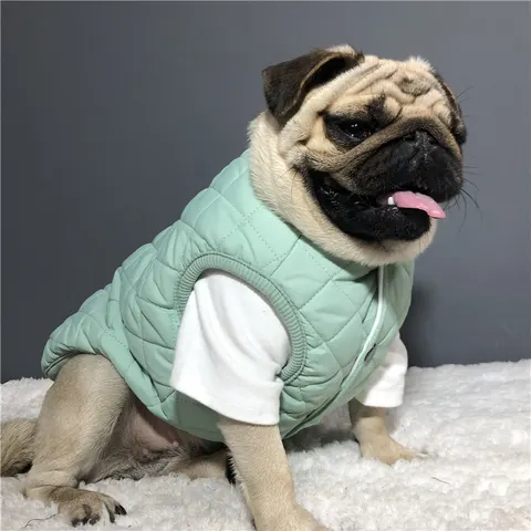 Dog Vest