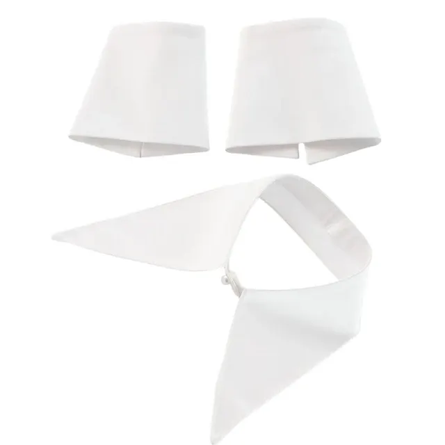 Detachable Collar Insert 3