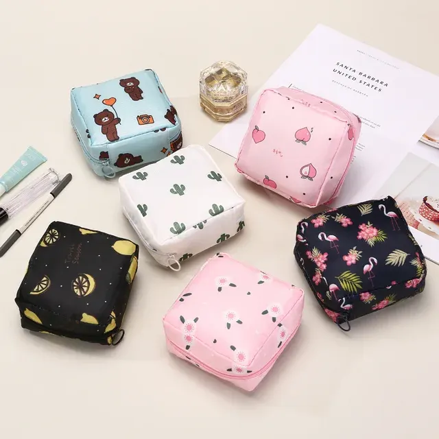 Sanitary Pad Case 2