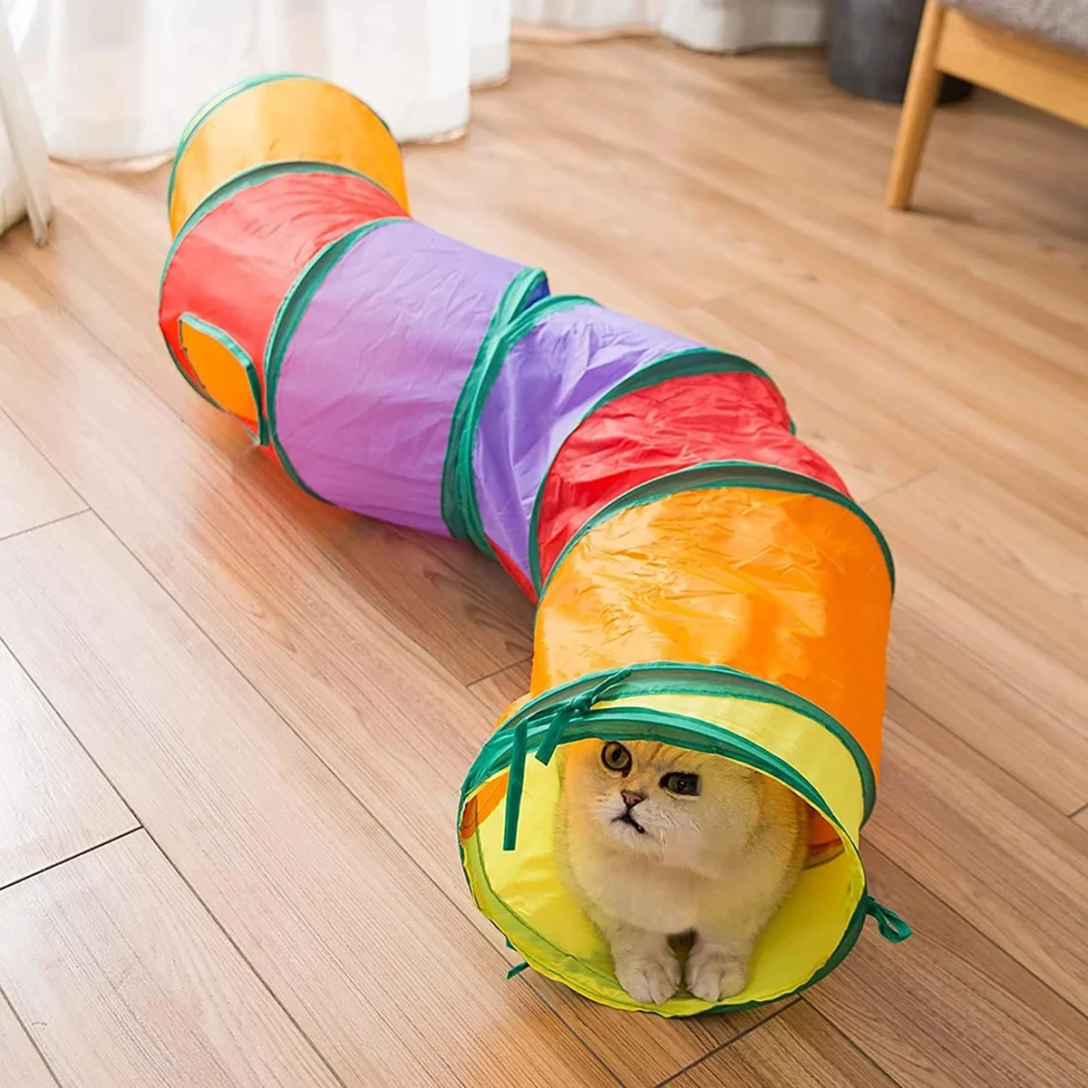 Collapsible Cat Tunnel with Play Ball 4