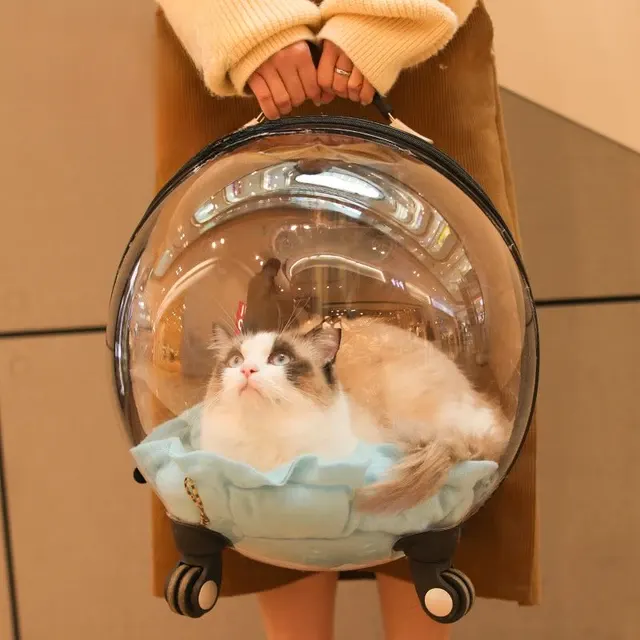 Katzen-Transporttasche 4
