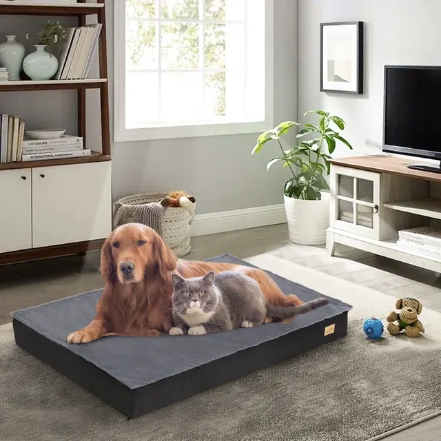 Orthopedic Dog Bed 4