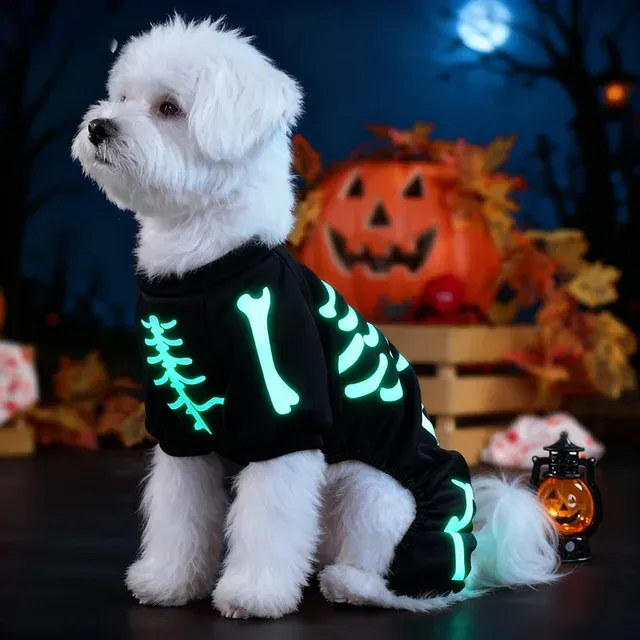 Dog Halloween Costume 3