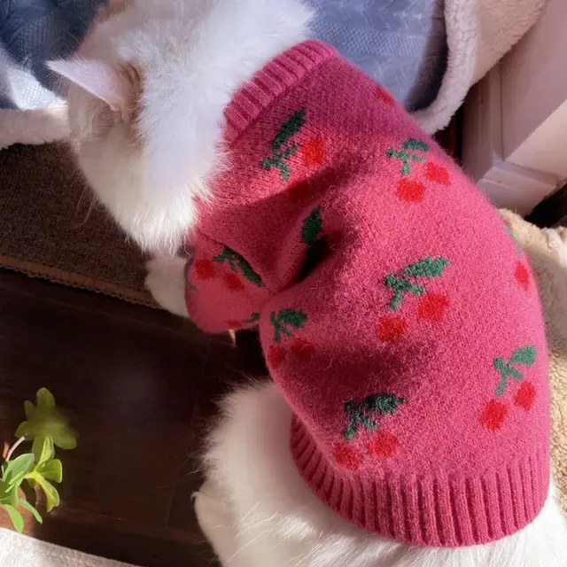 Dog Pullover 3