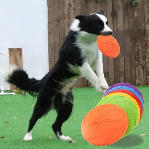 Dog Frisbee Toy