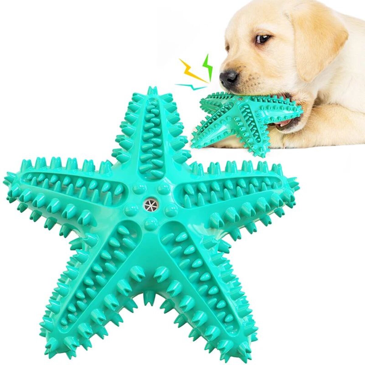 Squeaky Starfish Chew Toy For Dogs