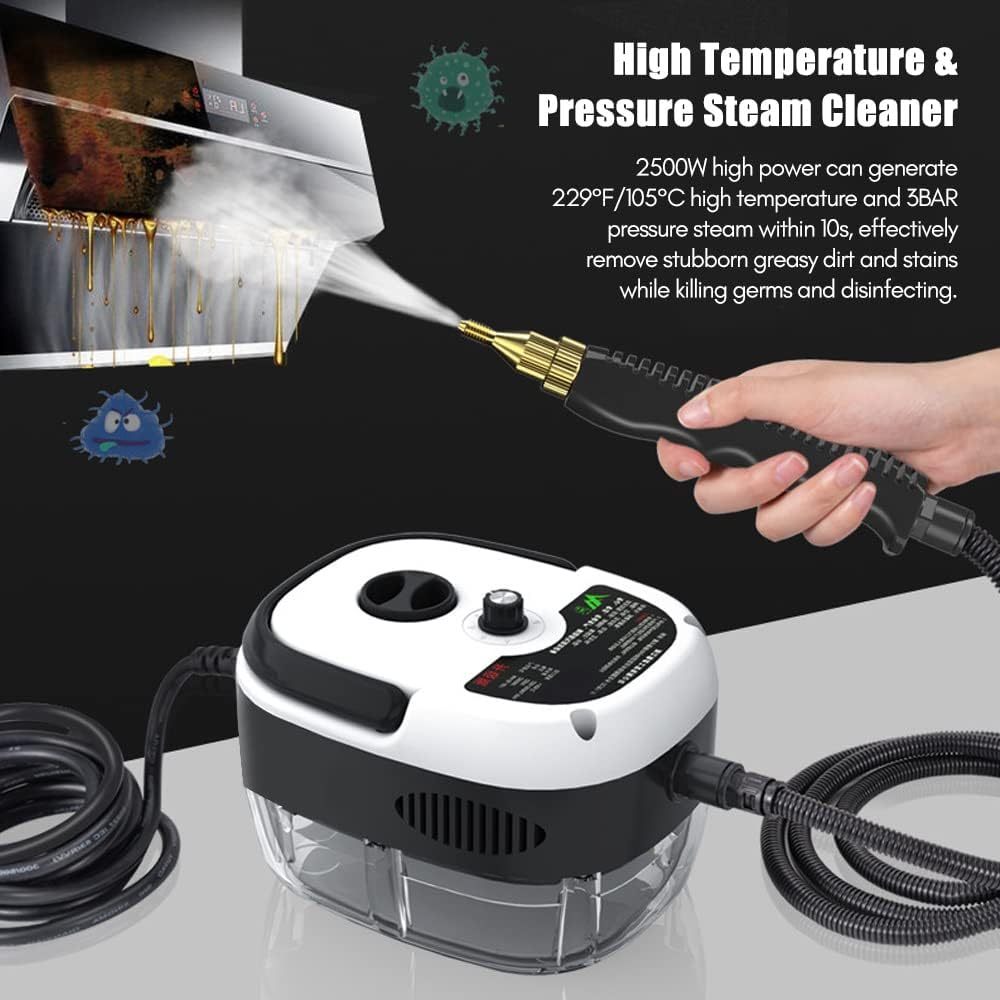 110V 220V 2500W Portable Handheld Steam Cleaner High 4