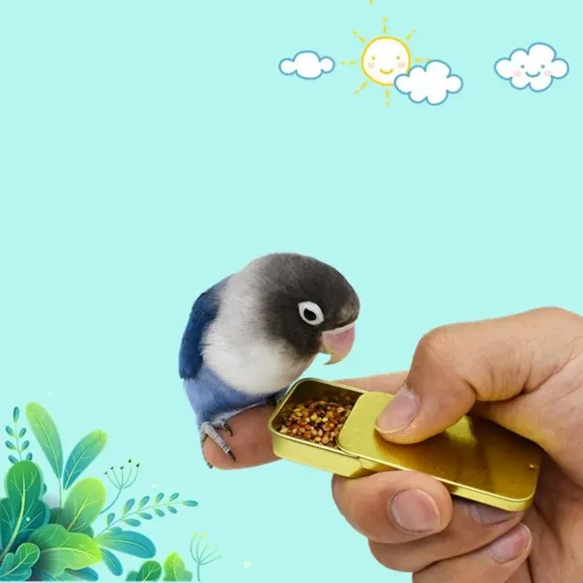 Bird Toy With Feeder 2