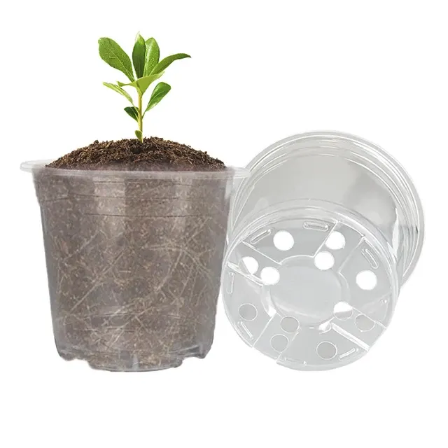 Transparent Seedling Pot 2