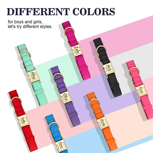 Dog Collar 2