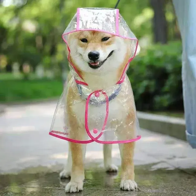 Hunde-Regenmantel 2