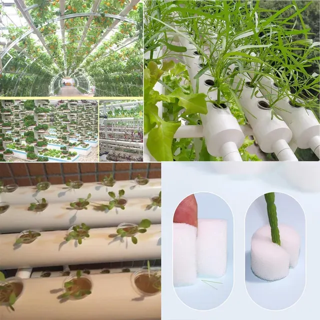 Hydroponic Net Pot 3