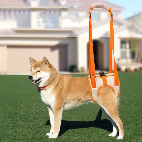 Dog Lift Harness