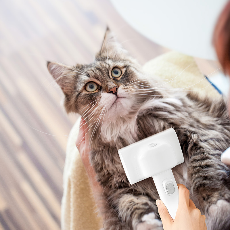 Portable Pet Hair Vacuum with Brushed Motor 3