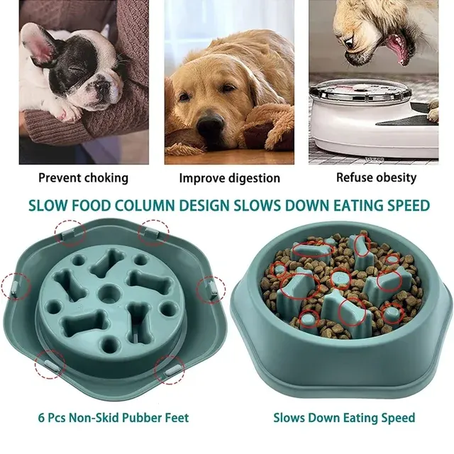 Puzzle Dog Bowl 4