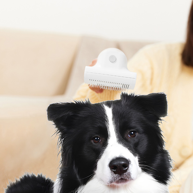 Portable Pet Hair Vacuum with Brushed Motor 2