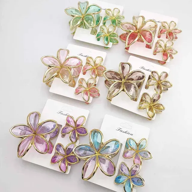 Hair Clip Set 4