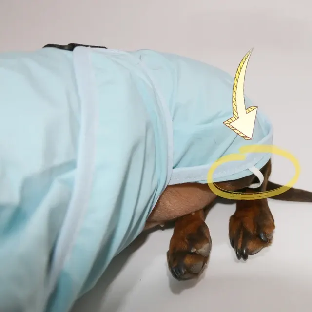Dog Rain Coat 4