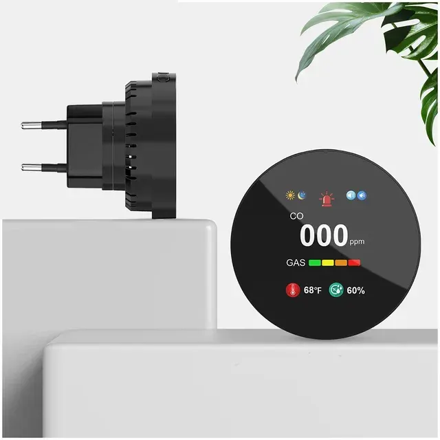 Gas and CO Detector 2