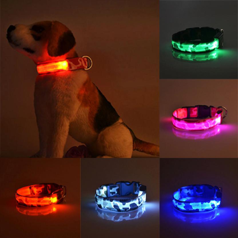 Luminous LED Anti-Lost Dog Collar 2