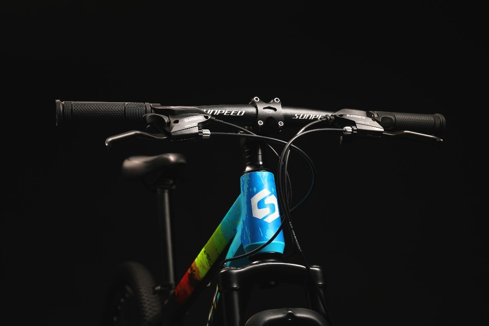 29er Sport Mountain Bicycle 3