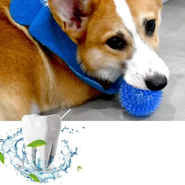 Hunde-Kauspielball 4