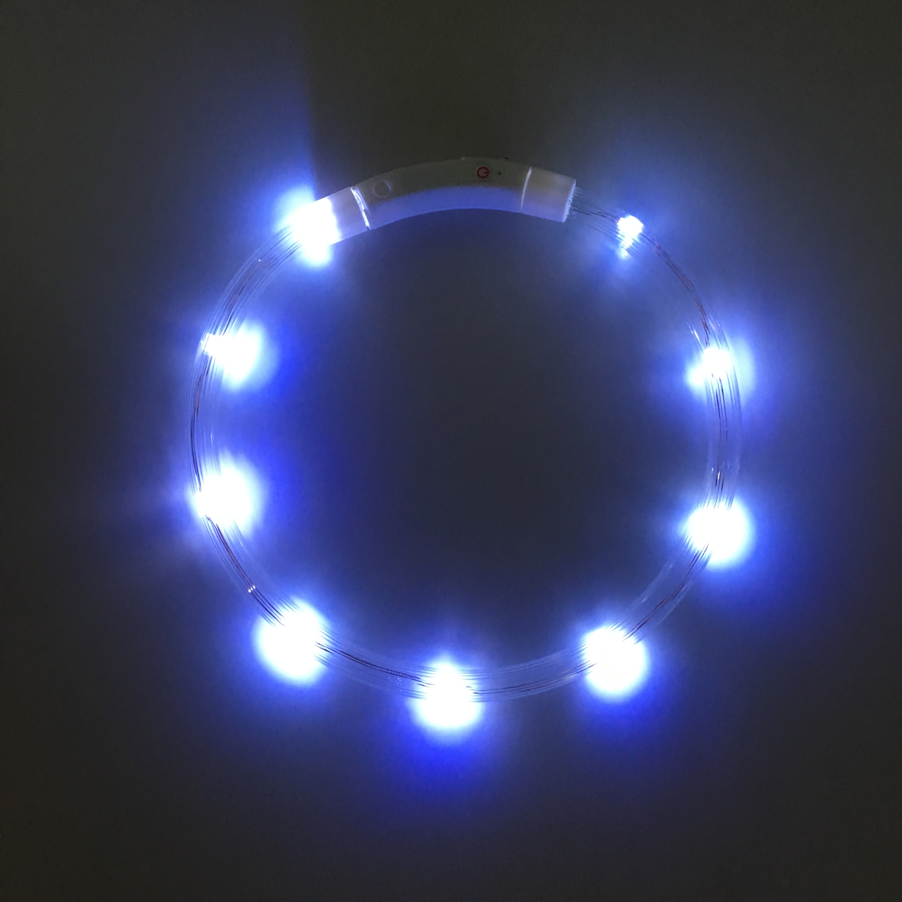 Eco-Friendly LED Dog Collar USB 4