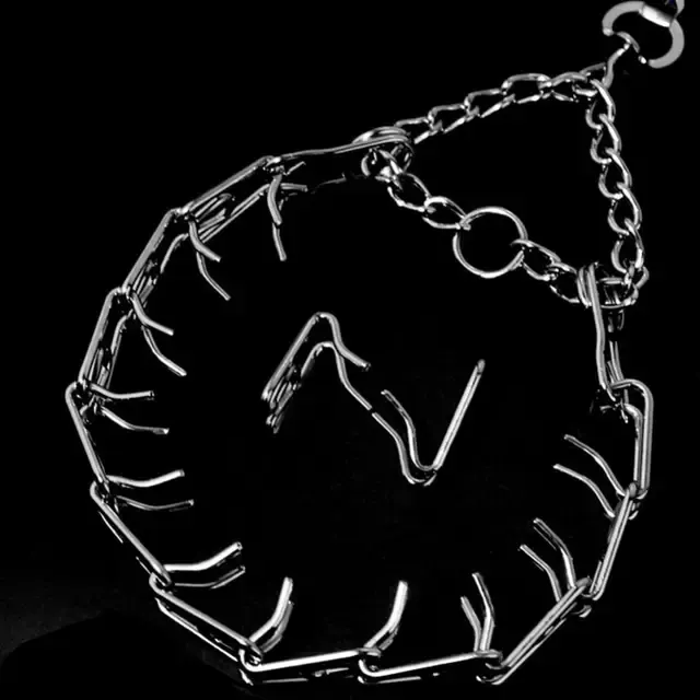 Prong Training Dog Collar 3