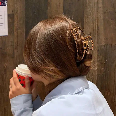 Shark Hair Clip