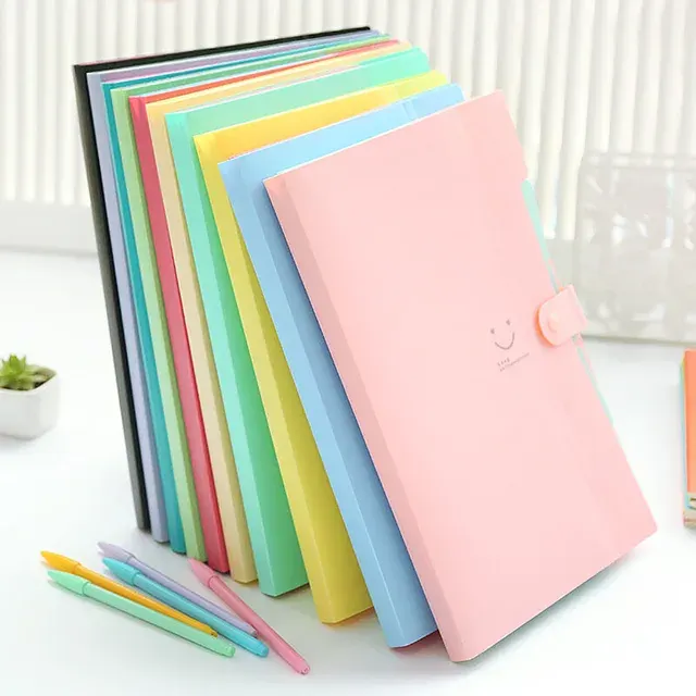 Accordion File Organizer 2