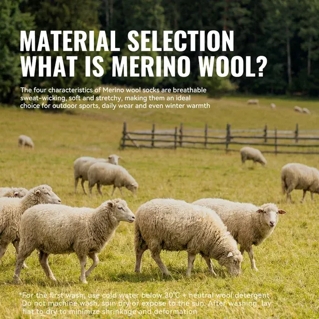 Merino Wool Toe Socks 3