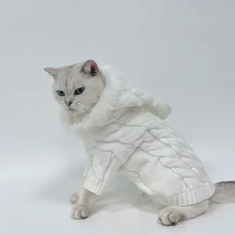 Knit Sweater