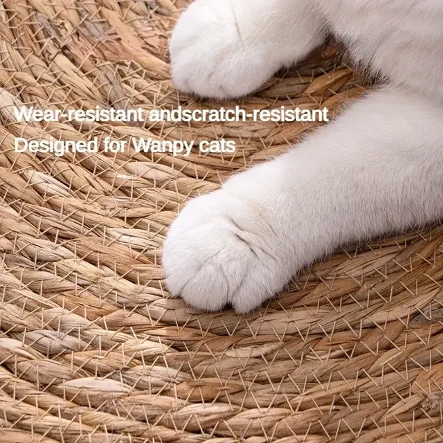 Katzen-Kratzbrett 3