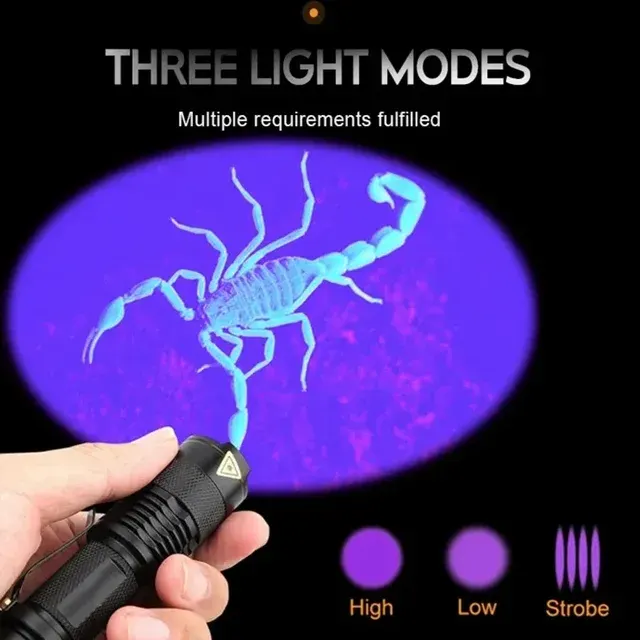Zoomable 365/395 nm UV Flashlight 3