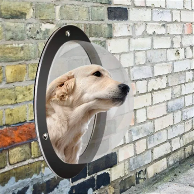 Pet Window Guard 1