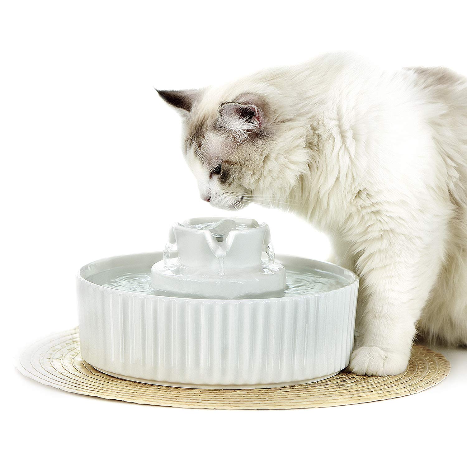 Pet Water Dispenser 3