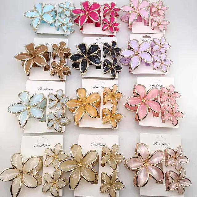Hair Clip Set 1