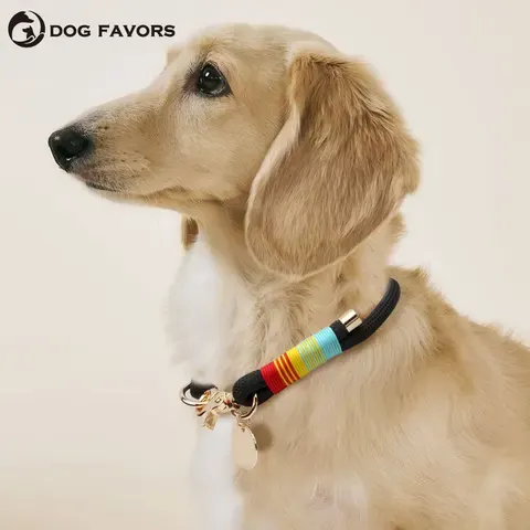 Nylon-Hundehalsband