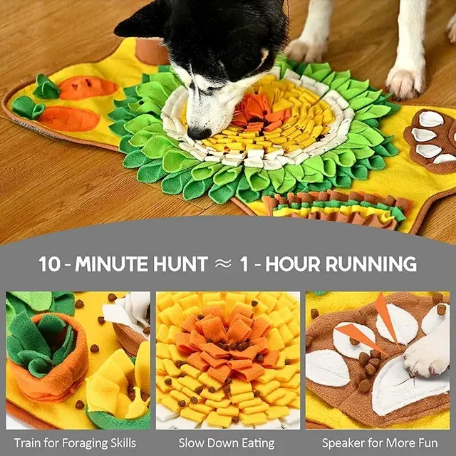Hunde-Schnüffelmatte 4