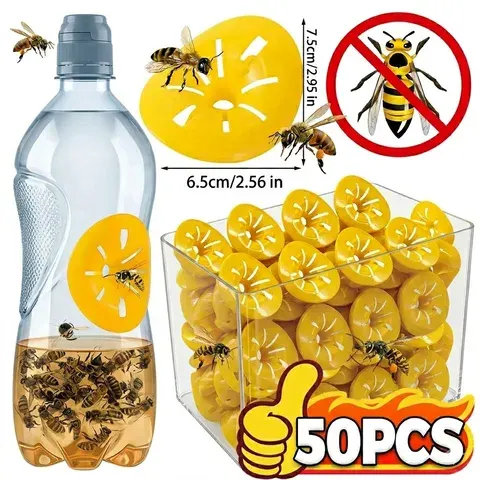 wasp trap