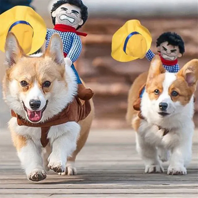 Dog Halloween Costume 4