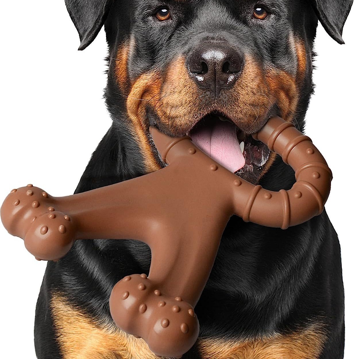 Durable Eco-Friendly Wishbone Dog Chew Toy-Nylon Bacon Chicken 4